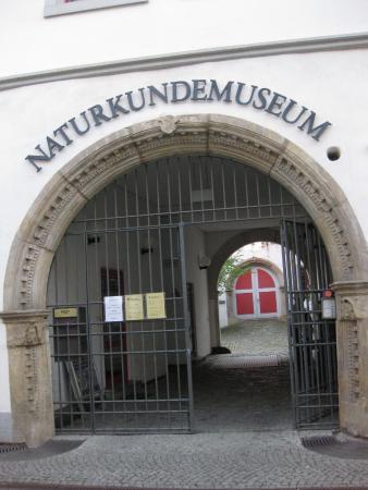 Naturkundemuseum Erfurt